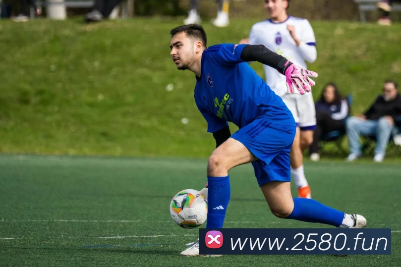 多多28服务体系